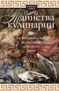 Алексис Сойер Таинства кулинарии. Гастрономическое великолепие Античного мира обложка книги