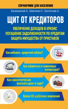 Светлана Шевченко Щит от кредиторов. Увеличение доходов в кризис, погашение задолженности по кредитам, защита имущества от приставов обложка книги