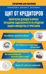 Светлана Шевченко - Щит от кредиторов. Увеличение доходов в кризис, погашение задолженности по кредитам, защита имущества от приставов