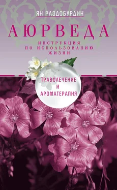 Ян Раздобурдин Аюрведа. Траволечение и ароматерапия обложка книги