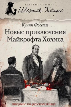 Куинн Фосетт Новые приключения Майкрофта Холмса обложка книги