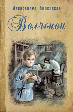 Александра Анненская Волчонок (сборник) обложка книги