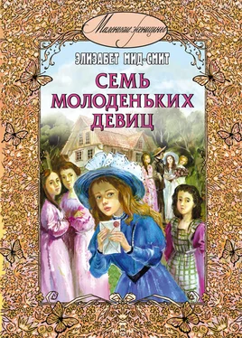 Элизабет Мид-Смит Семь молоденьких девиц, или Дом вверх дном обложка книги