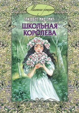 Элизабет Мид-Смит Школьная королева обложка книги