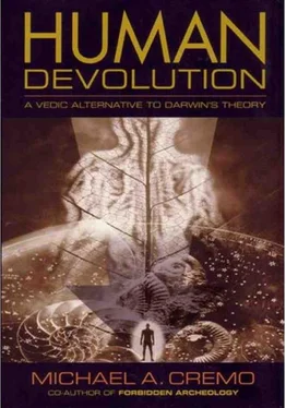 Michael Cremo Human Devolution: A Vedic Alternative To Darwin's Theory обложка книги