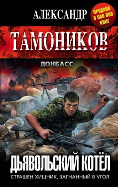 Александр Тамоников Дьявольский котёл обложка книги