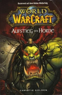 Christie Golden Aufstieg der Horde обложка книги