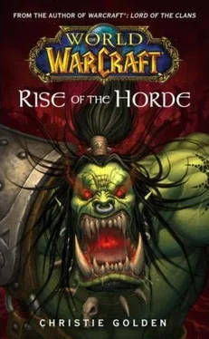 Christie Golden Rise of the Horde обложка книги