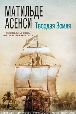 Матильде Асенси Твердая земля обложка книги