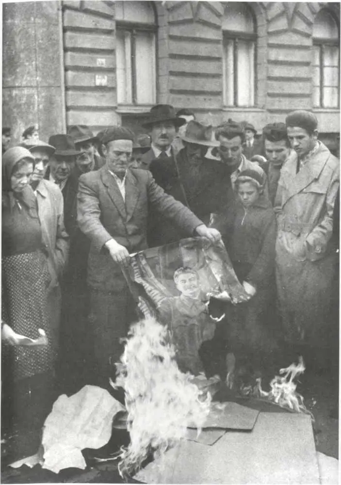 Жители Будапешта жгут портреты Сталина начало ноября 1956 г Восстание в - фото 1
