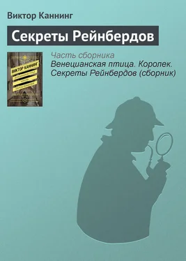 Виктор Каннинг Секреты Рейнбердов обложка книги