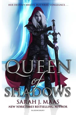 Sarah Maas Queen of Shadows обложка книги