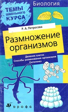 Рената Петросова Размножение организмов обложка книги