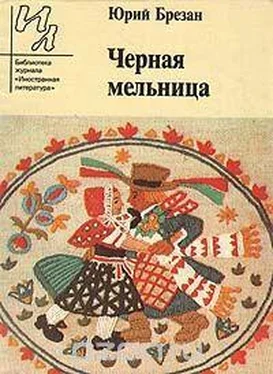 Юрий Брезан Черная Мельница обложка книги