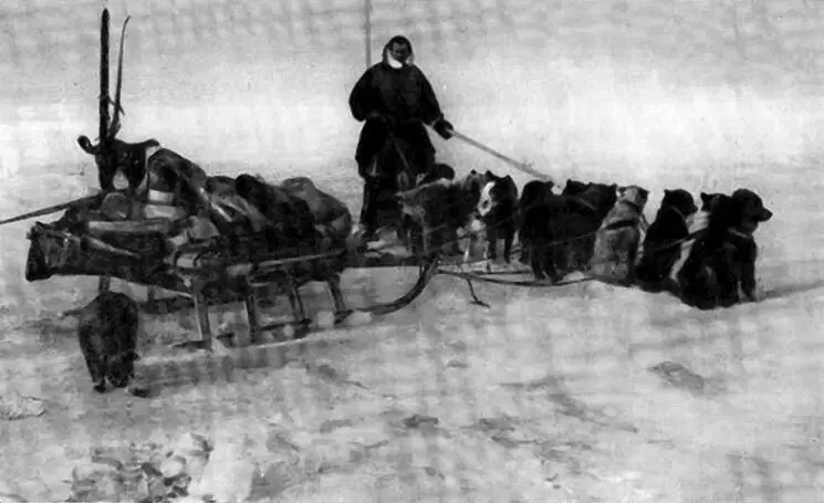 Североземельская экспедиция стала подлинным испытанием мужества и выносливости - фото 19