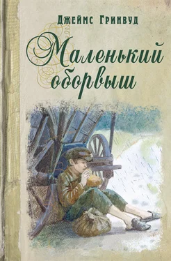 Джеймс Гринвуд Маленький оборвыш обложка книги