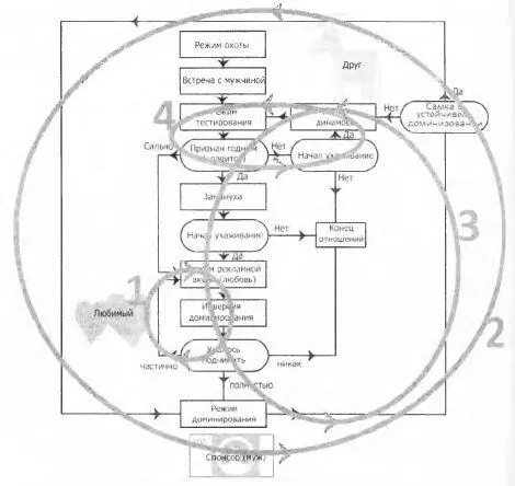 Рис 24 Циклы алгоритма полового инстинкта прошивки человеческой самки - фото 26