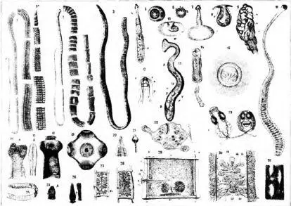 вытолкала бедолагу за дверь крича что он не достоин такой царицы как она - фото 56