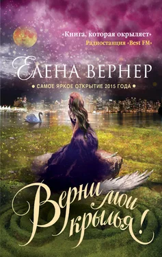 Елена Вернер Верни мои крылья! обложка книги