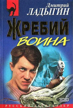 Дмитрий Ладыгин Жребий воина обложка книги