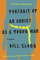 Bill Clegg - Portrait of an Addict as a Young Man