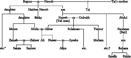 GreatAunt OneLiner Booby Usman related to Aliya through this line - фото 1