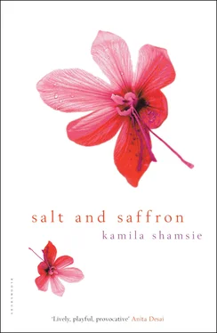 Kamila Shamsie Salt and Saffron обложка книги