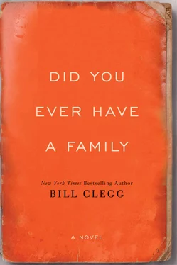 Bill Clegg Did You Ever Have A Family обложка книги