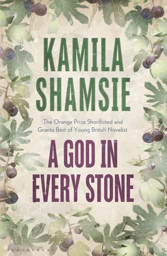 Kamila Shamsie A God in Every Stone обложка книги