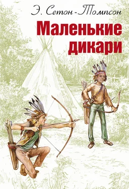 Эрнест Сетон-Томпсон Маленькие дикари обложка книги