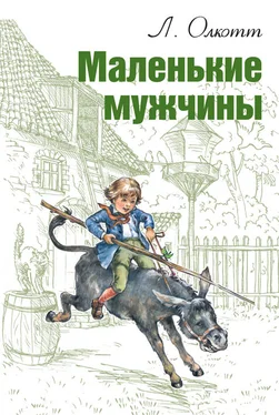 Луиза Мэй Олкотт Маленькие мужчины обложка книги