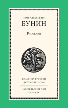 Иван Бунин Рассказы обложка книги