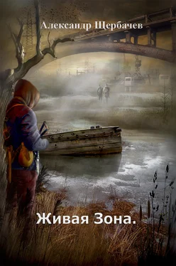 Александр Щербачев Живая Зона обложка книги