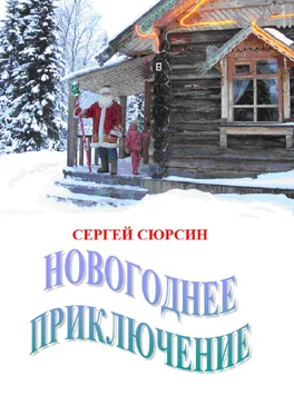 Сергей Сюрсин Новогоднее приключение обложка книги