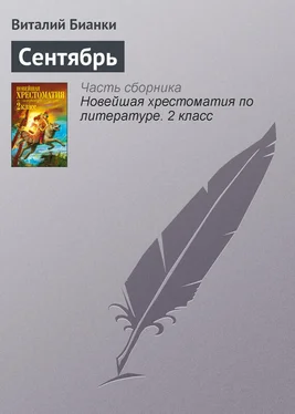 Виталий Бианки Сентябрь обложка книги