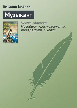 Виталий Бианки Музыкант обложка книги