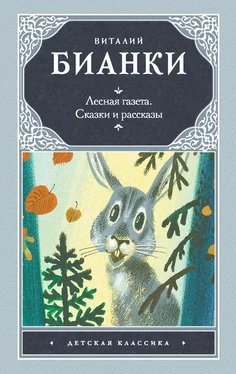 Виталий Бианки Лесная газета. Сказки и рассказы (сборник) обложка книги