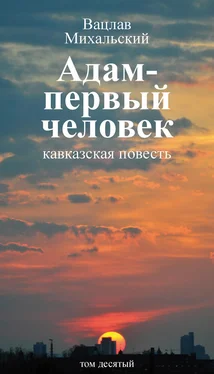 Вацлав Михальский Собрание сочинений в десяти томах. Том десятый. Адам – первый человек. Первая книга рассказов. Рассказы. Статьи обложка книги