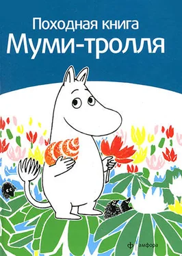 Сами Малила Походная книга муми-тролля обложка книги