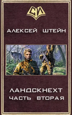 Алексей Штейн Ландскнехт. Часть вторая обложка книги