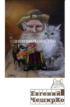 Евгений ЧеширКо Дневник Домового (с продолжениями) обложка книги