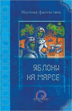 Владимир Венгловский Чижик-пыжик — птичка певчая обложка книги