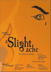 Гарольд Пинтер - Легкая боль