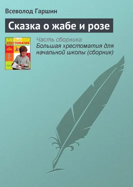 Всеволод Гаршин Сказка о жабе и розе обложка книги