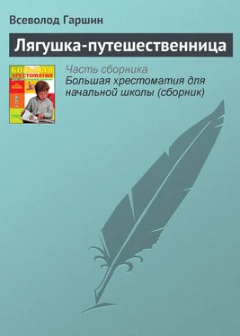 Всеволод Гаршин Лягушка-путешественница обложка книги