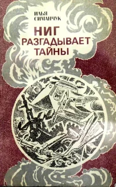 Илья Симанчук НИГ разгадывает тайны. Хроника ежедневного риска обложка книги