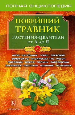 О. Филатов Новейший травник. Растения-целители от А до Я обложка книги