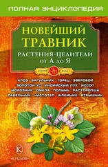 О. Филатов - Новейший травник. Растения-целители от А до Я