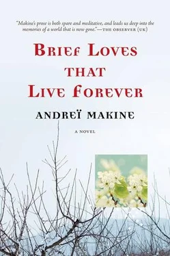 Andreï Makine Brief Loves That Live Forever обложка книги