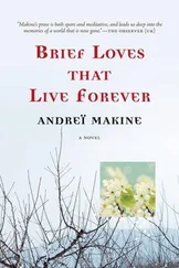 Andreï Makine - Brief Loves That Live Forever